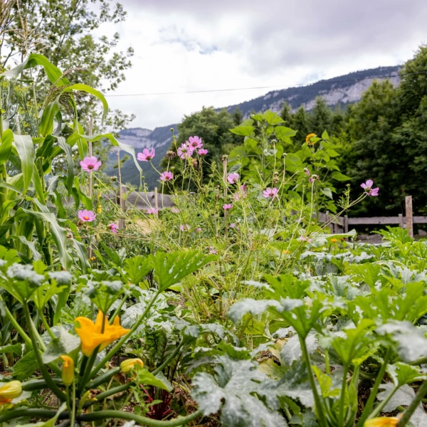 2025_LaMatrassière_030©NilsLouna