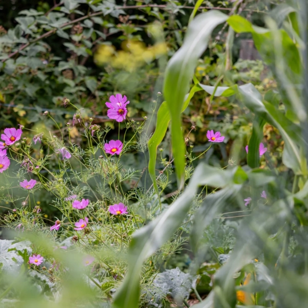 2025_LaMatrassière_033©NilsLouna