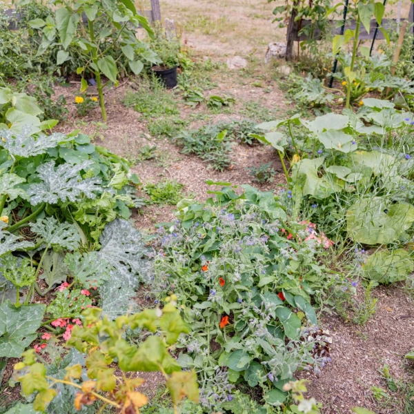 2025_LaMatrassière_037©NilsLouna