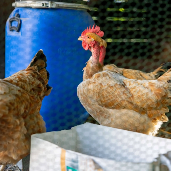 2025_LaMatrassière_058©NilsLouna