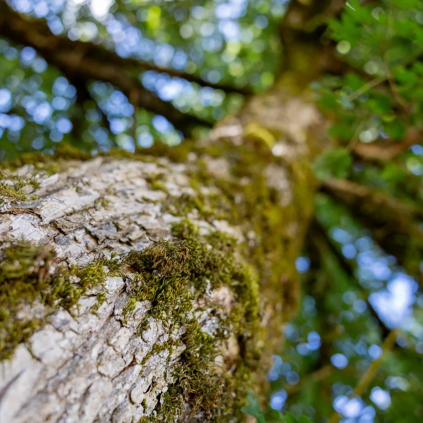 2025_LaMatrassière_090©NilsLouna