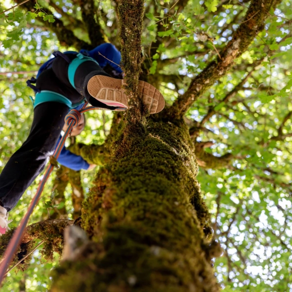 Mini camps ALSH dans le Vercors Colonies de vacances Centre de vacances