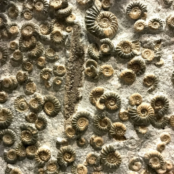 gabi-scott-c9y23cBO2UM-unsplash