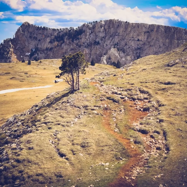 photo-1683366090856-bb24e555a23a