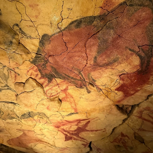 santos-sanchez-plaza-ji0CCbpEYuE-unsplash