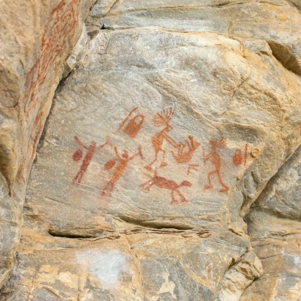 vitor-paladini-kO3-5FoV8bo-unsplash